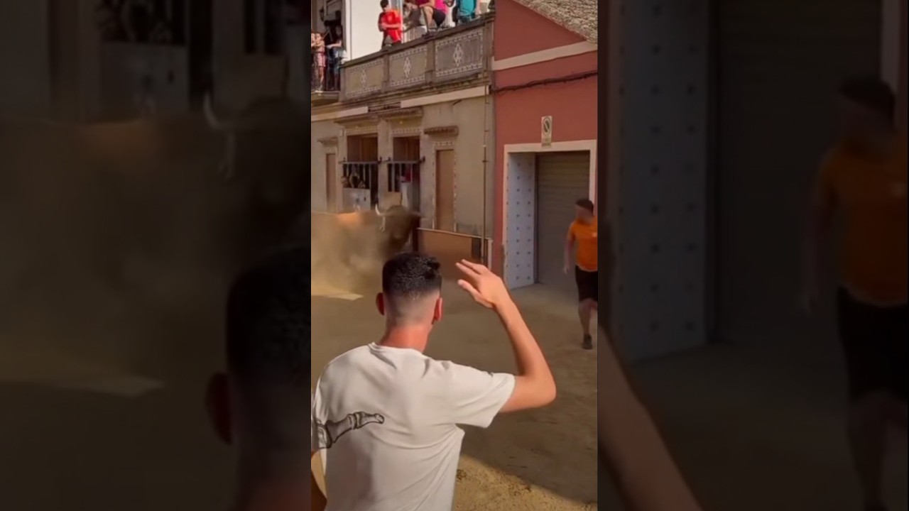 &iexcl;TOROS IMPRESIONANTE! #toro QUIEBRO BOUS AL CARRER🐂 #yt #tierra #pueblo #pasion #fyp #youtubeshorts