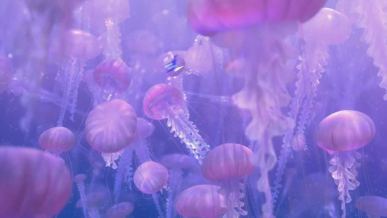 Disney / Pixar - FINDET NEMO 3D - Filmclip - Quallen