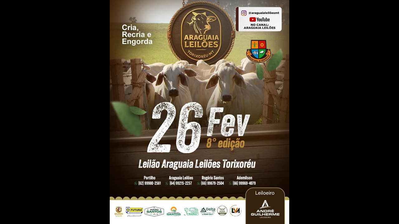 Araguaia leilões Torixoréu - MT  26/02/2026