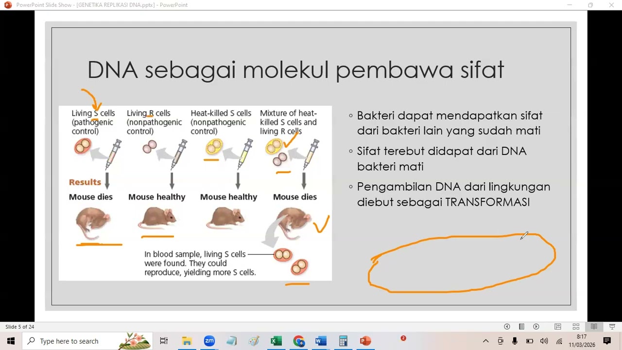 Replikasi DNA