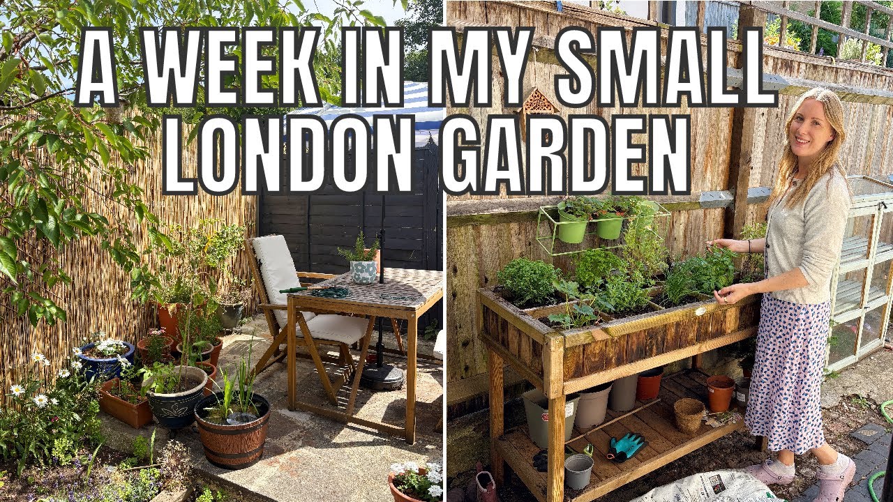 MAKING A PRIVACY FENCE / MY SMALL LONDON GARDEN