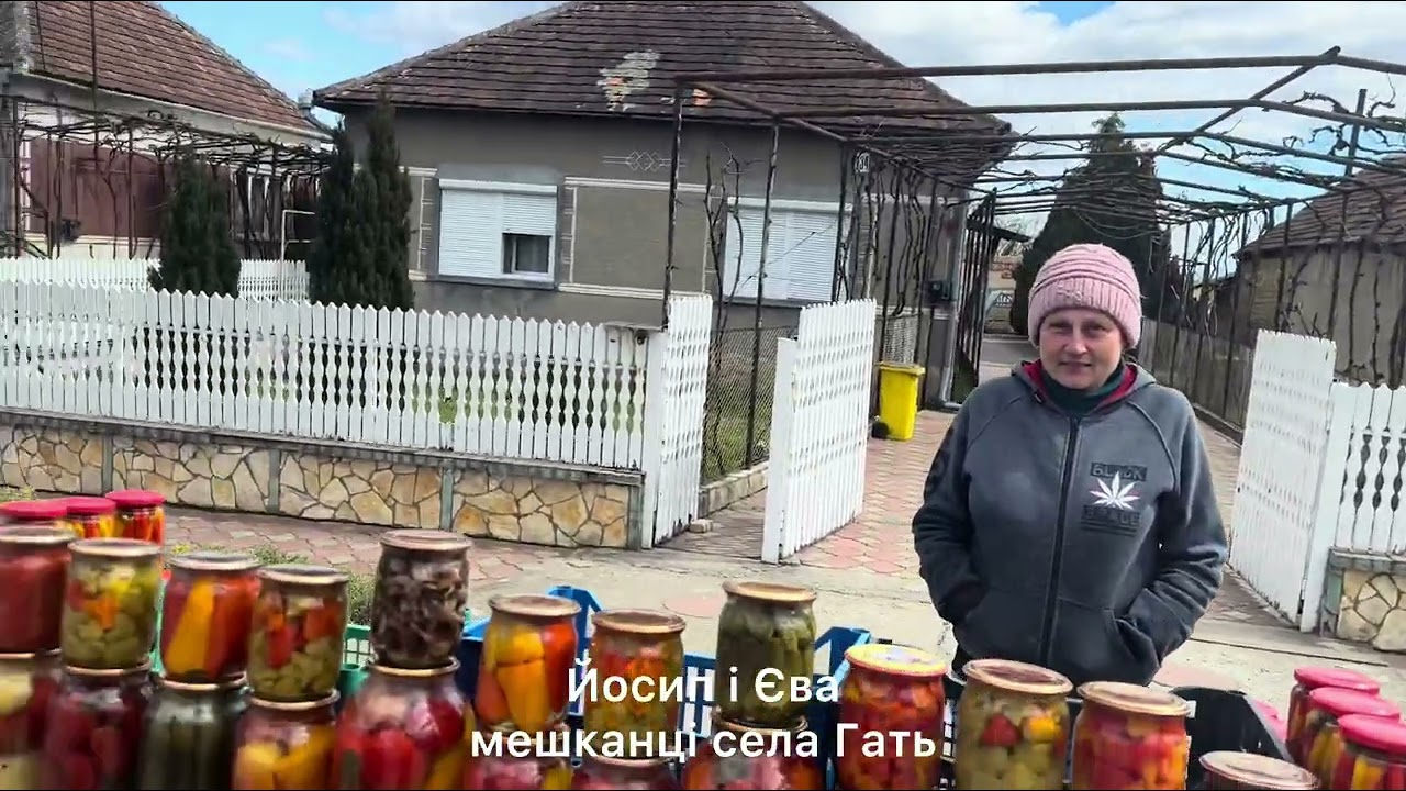 Закарпатські мадяри. Село Гать, Берегівщина. Як жити за українську пенсію? West Ukraine now.