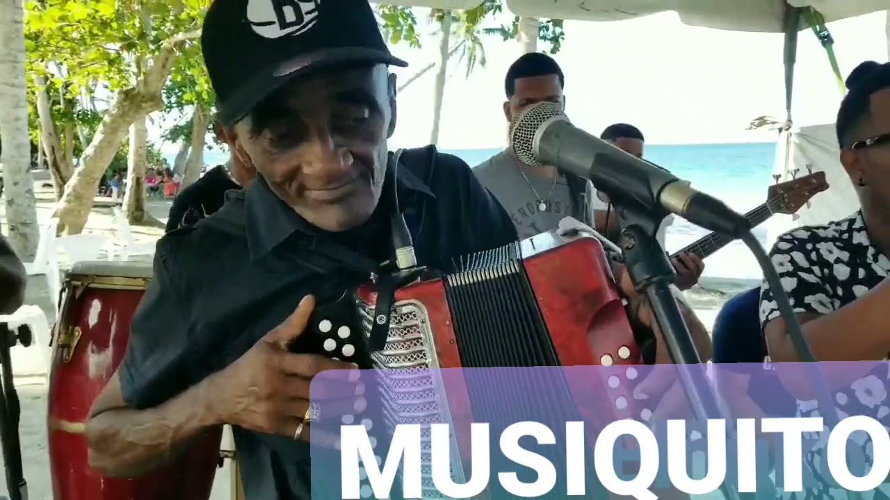 Musiquito en vivo
