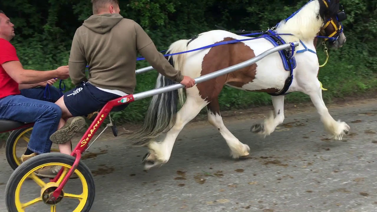Appleby Horse Fair Friday 2018
