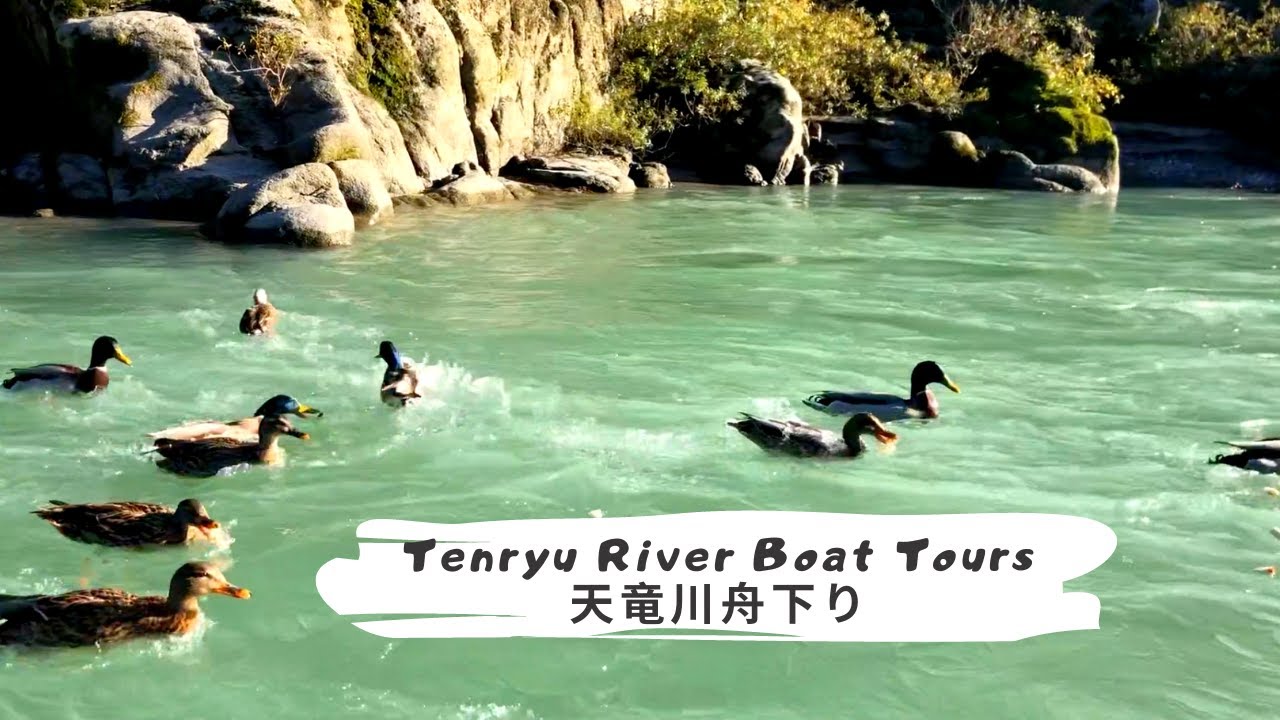 Tenryu River Boat Tours2/天竜川舟下り2