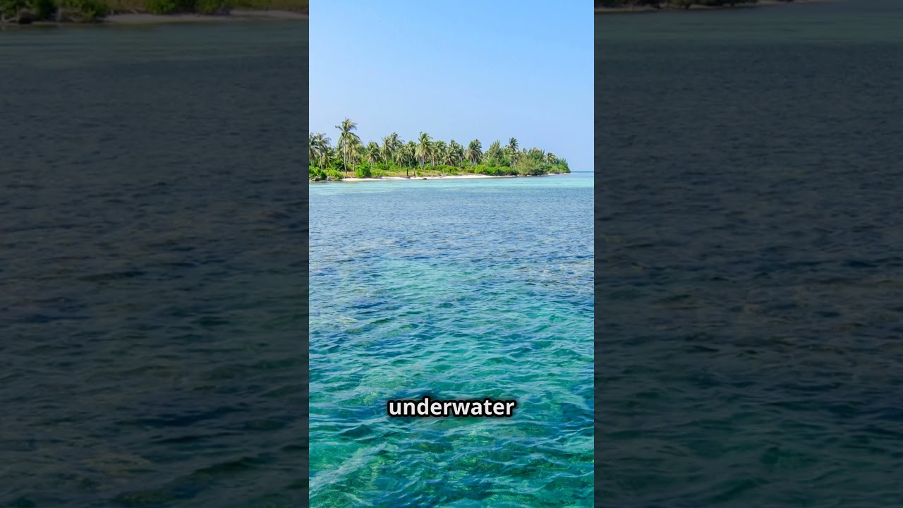 The Beautiful Beaches of Karimunjawa!  #exploreindonesia #karimunjawa #beautifulbeaches