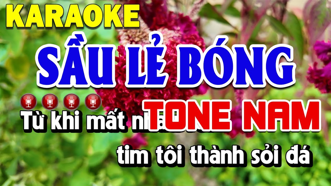 Sầu Lẻ Bóng Karaoke Tone Nam Nhạc Sống Dễ Hát | Thanh Sơn