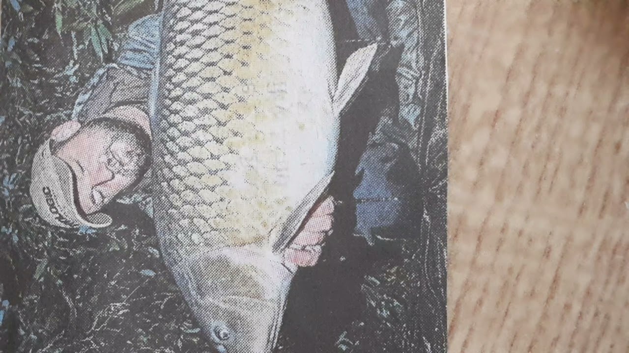 Bane"piksla"iz S.Palanke(zaspo siroma...celu noć čekao a kolege navalile ljuljaj rakiju Dunav uspavl