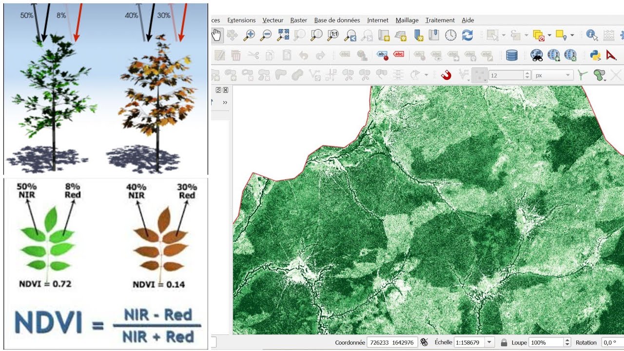 🔴 QGis : Maîtriser le #NDVI, L’outil clé pour surveiller la Végétation - (Tuto Complet)
