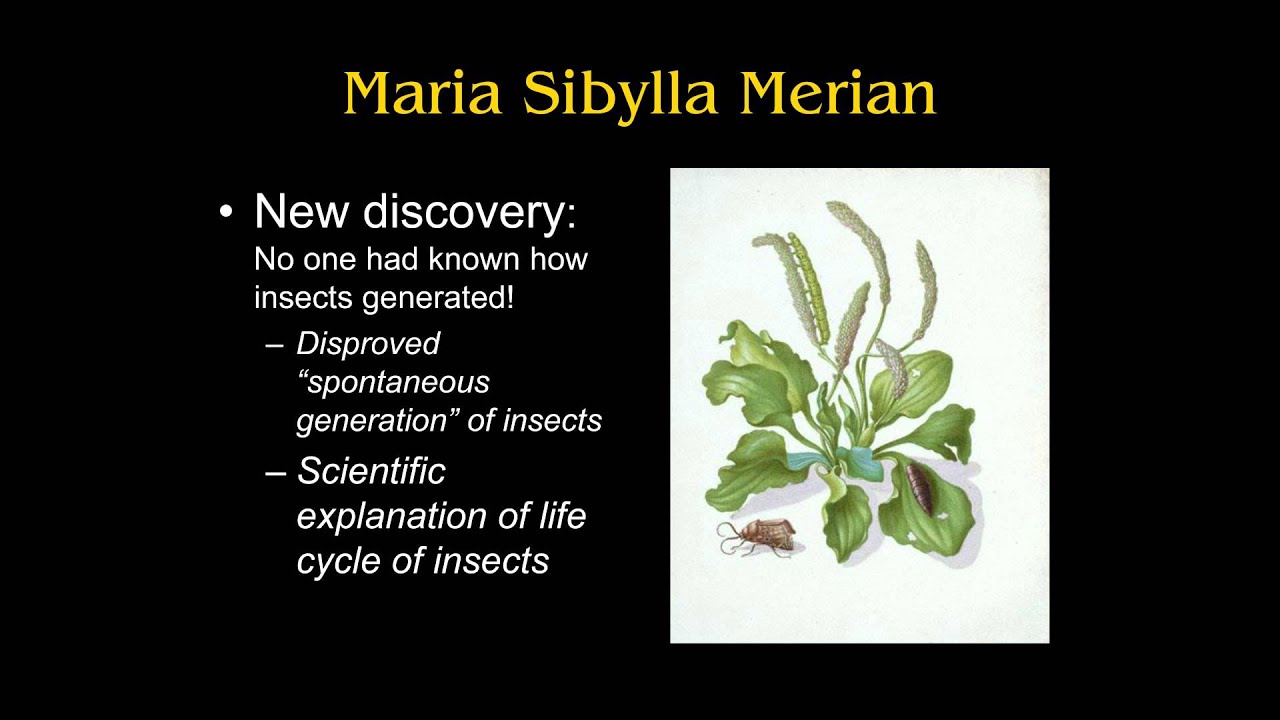 ARTH 2020 Maria Sibylla Merian (Science and Art)