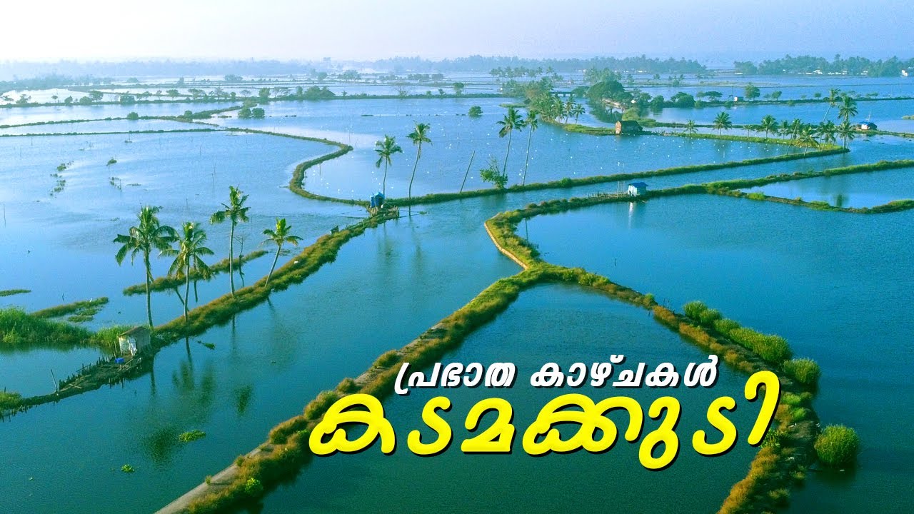 Kadamakkudy Sunrise 🌞Cage fish Farming 🐡 Island Toddy Shop 🍤🍖 ജീവനോടെ മീനുകളെ വാങ്ങാം🐟🐡 Vlog #223🔥