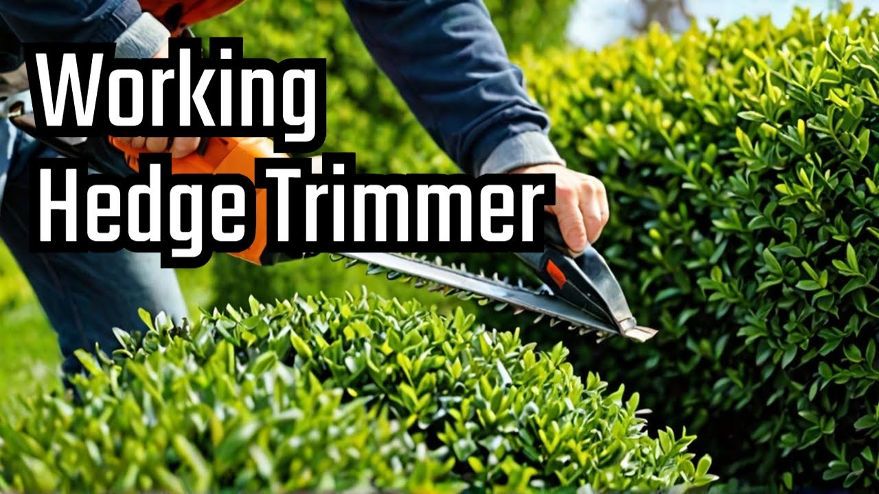 Güde hedge trimmer  working again  -- Heckenschere --  Кусторез