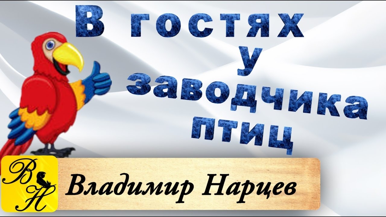 В гостях у заводчика птицы
