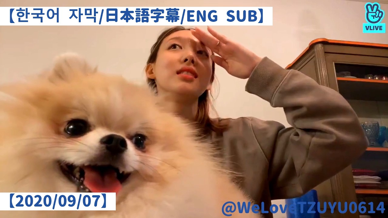 NAYEON🩵【한국어 자막/日本語字幕/ENG SUB】ㅎㅎ 20200907【TWICE VLIVE】