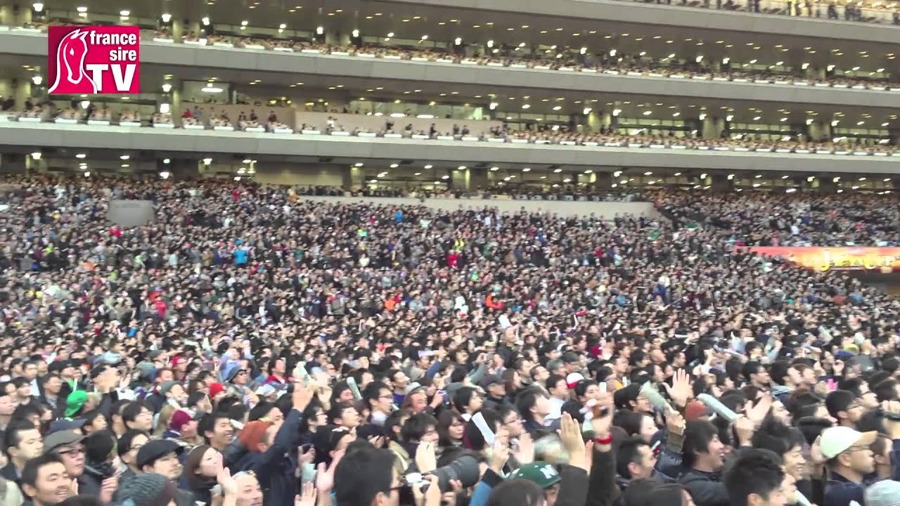 Japan Cup 2014 : Victoire de Christophe Soumillon avec Epiphaneia
