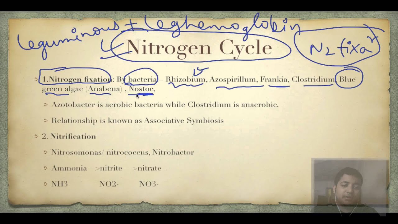 UPSC IAS: High Yield Series: Environment and Ecology Part 1.8 Biogeochemical Cycles IAS Preparation