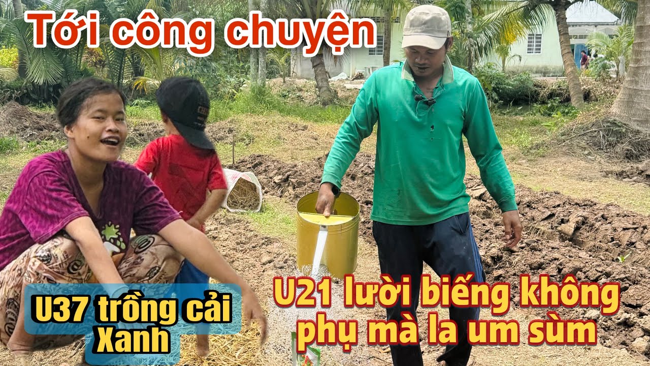 Bất ngờ U21 lười biếng la làng um sùm trời đất gọi U37 khi đang trồng thêm cải xanh #u30 