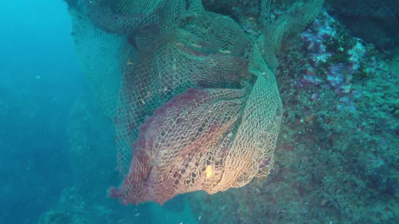 SANTOÑA - Las agujas - Club ITXAS-DIVE con NEMO DIVERS (2016/06/26)