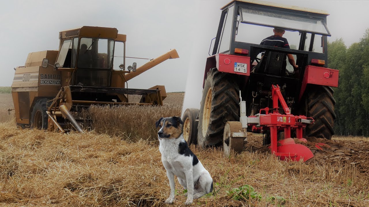 Żniwa, żniwa i po żniwach!! | Prace pożniwne | #SampoRosenlew #Zetor