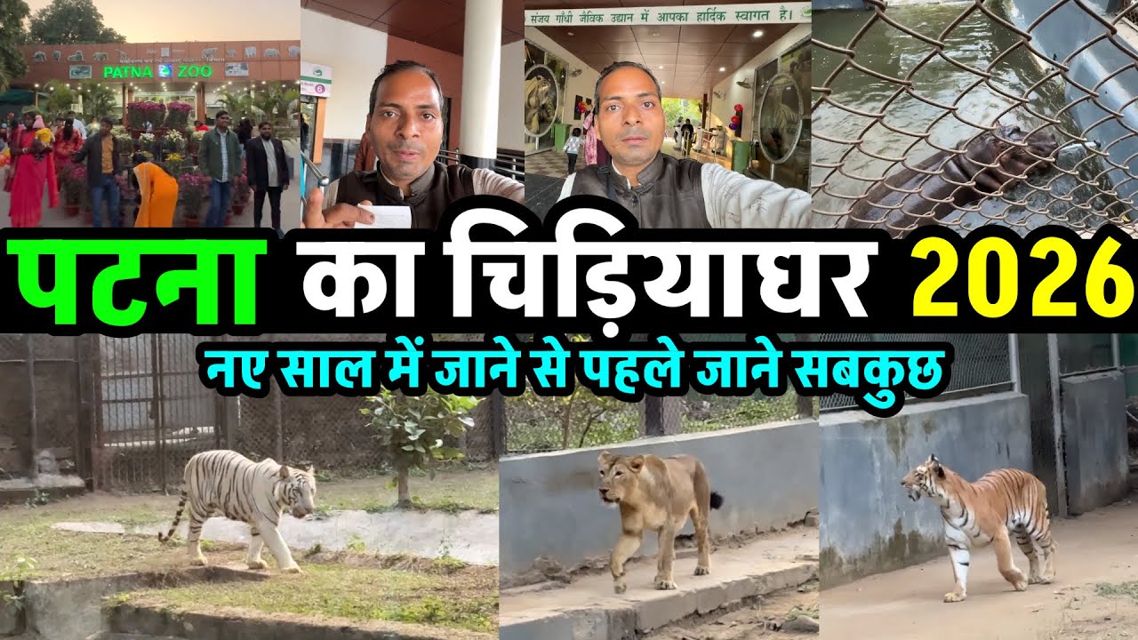पटना का चिड़िया देखिए नए साल में | Patna Zoo 2026 | Patna Chidiaghar 