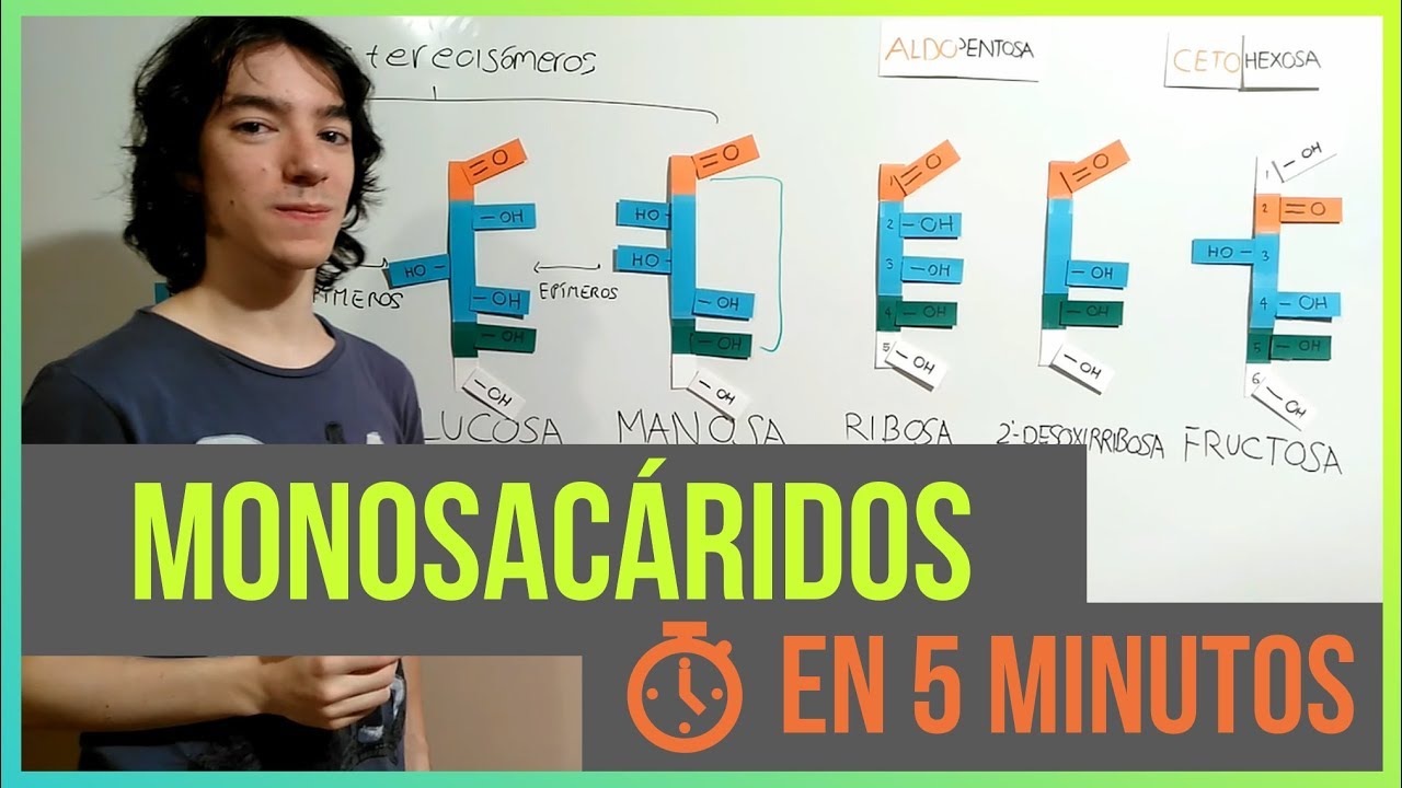 Monosac&aacute;ridos en 5 minutos