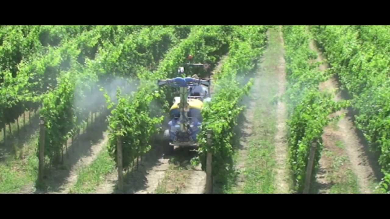 Martignani srl - Nebulizzatori Pneumatici Elettrostatici