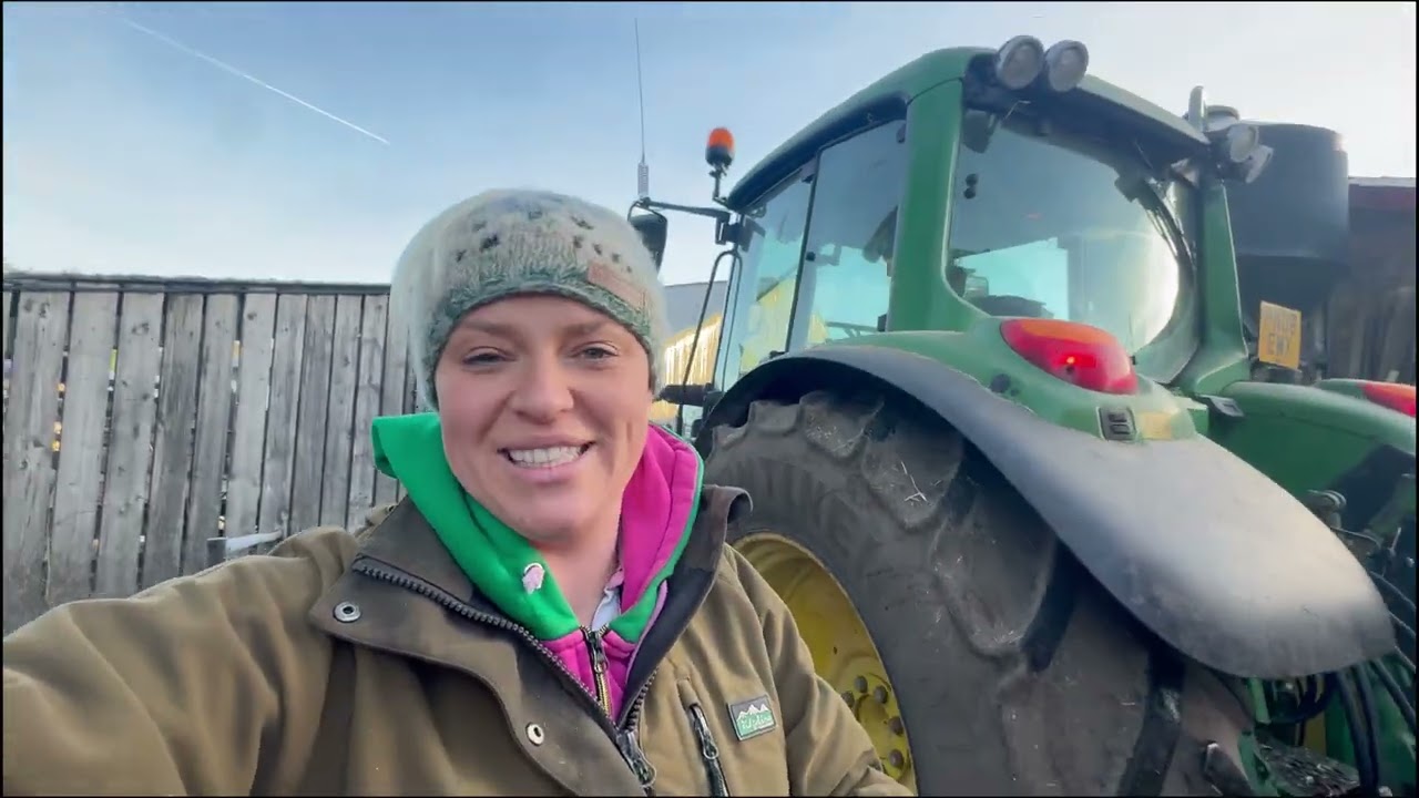 Wool Drop-Off, Winter Feeding & Escaped Cows!