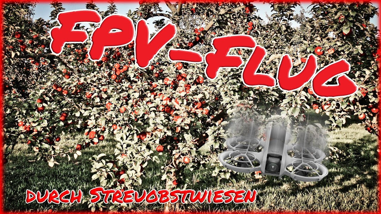FPV-Flug durch Streuobstwiese, DJI: Neo, GogglesN3, RC Motion3