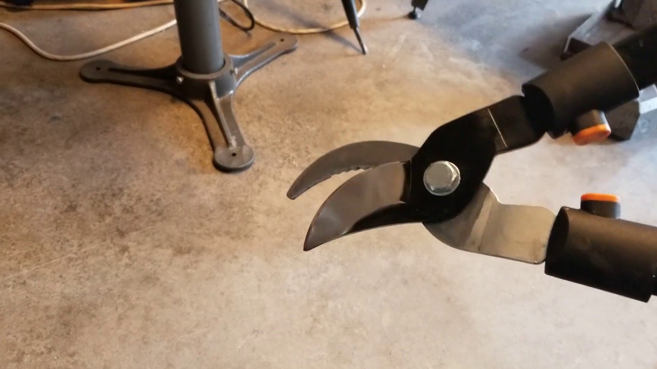 pruning   shear sharpening and tune up