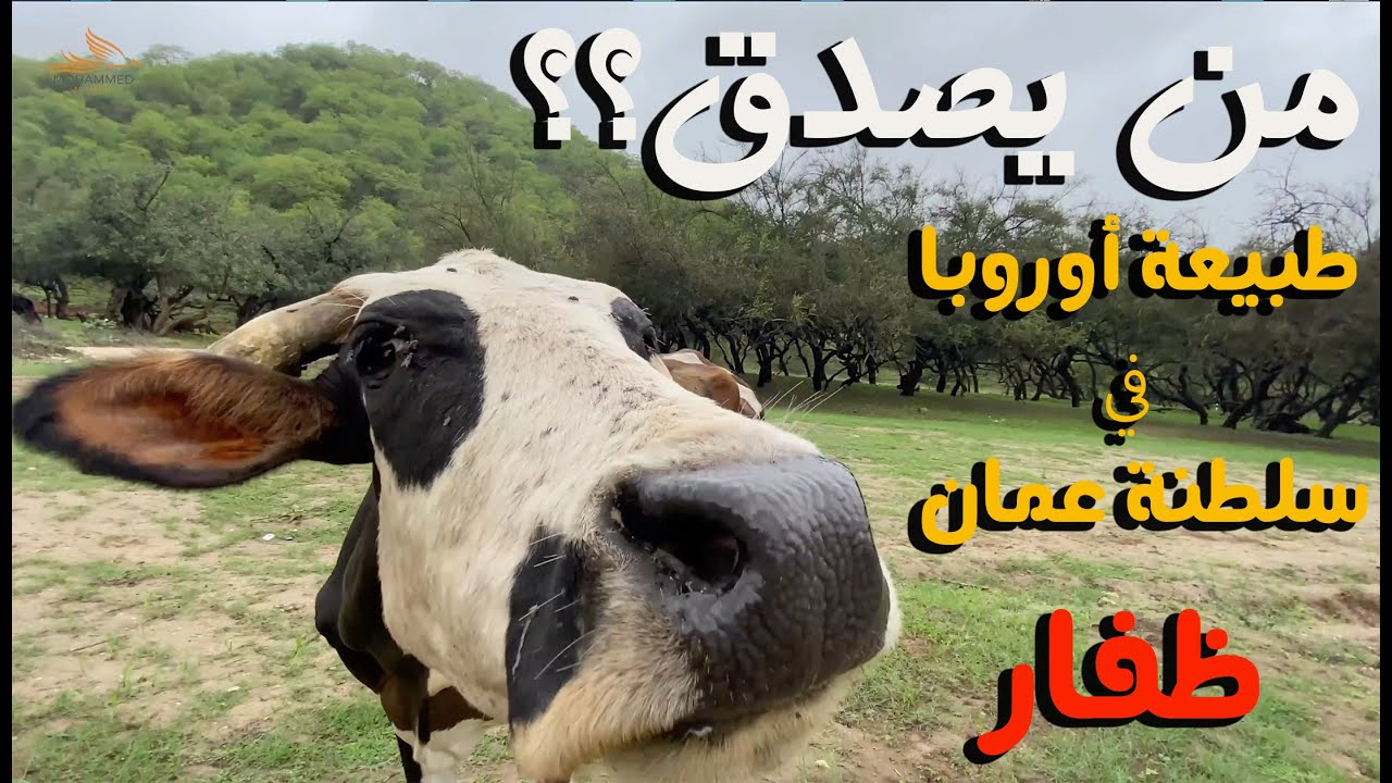 من يصدق ؟؟!!  .. طبيعة أوروبا  في الخليج !! .. جمال طبيعة وادي دربات .. محافظة ظفار .. سلطنة عمان ..