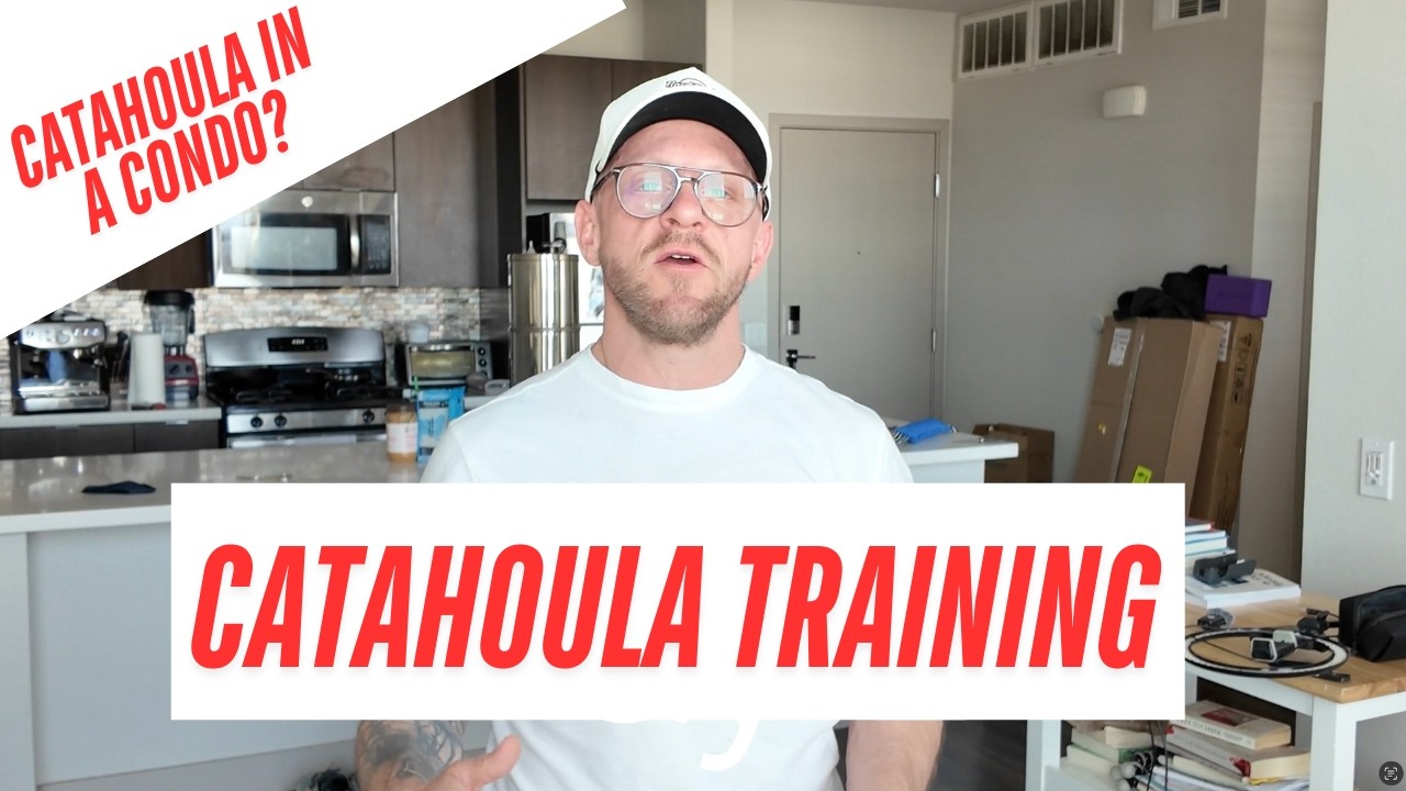 Mastering HEEL with My Catahoula  Dog Training Tips for Small Spaces
