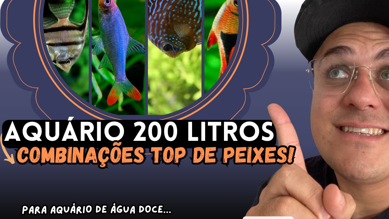 OS MELHORES PEIXES PARA AQUÁRIO DE 200 LITROS: ESCOLHA CERTA!