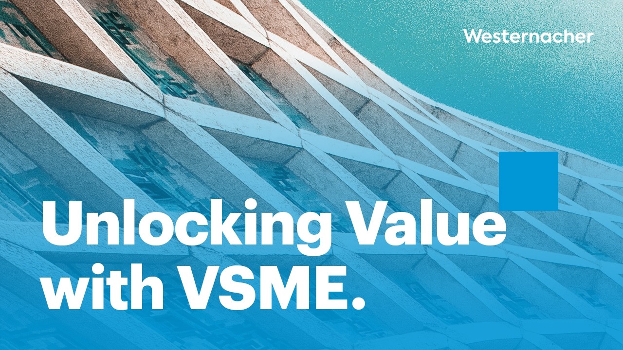 Unlocking Value with VSME: Strengthen Sustainability Performance and Organizational Resilience