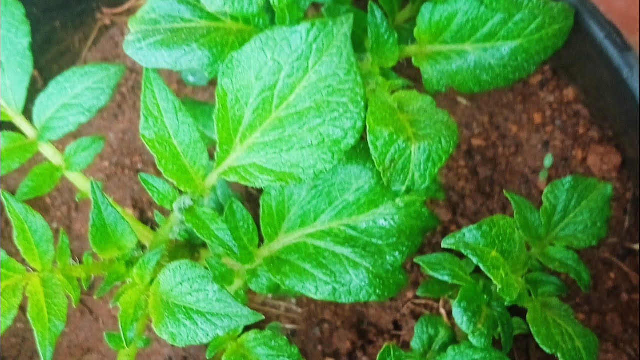 Aisa Hi Kyon hua
