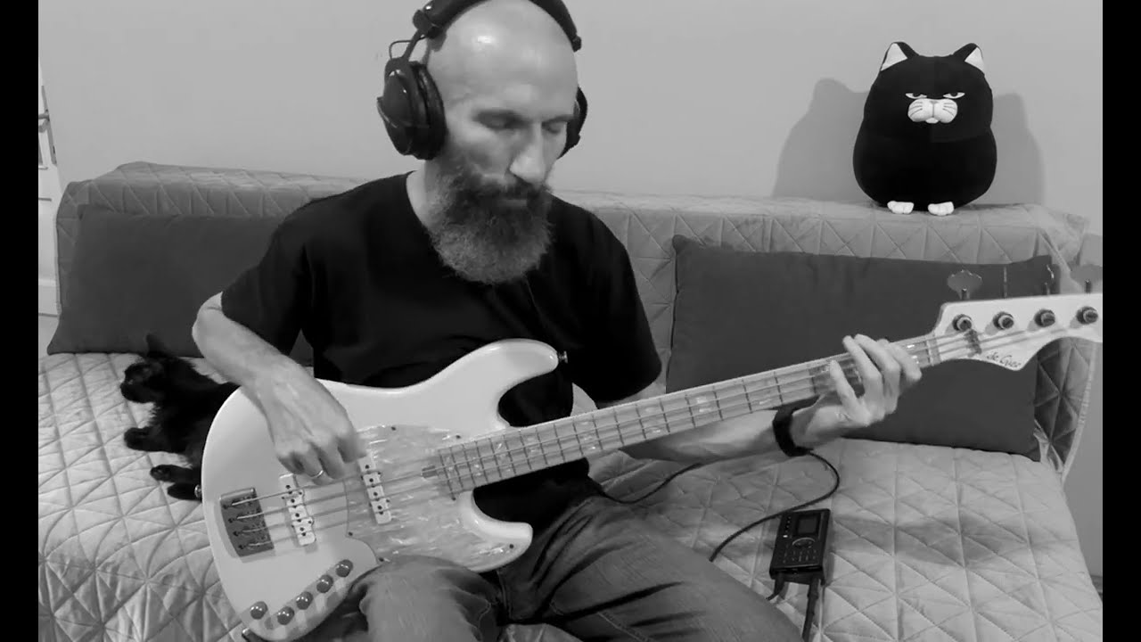 Down - Stone the Crow (bass cover)