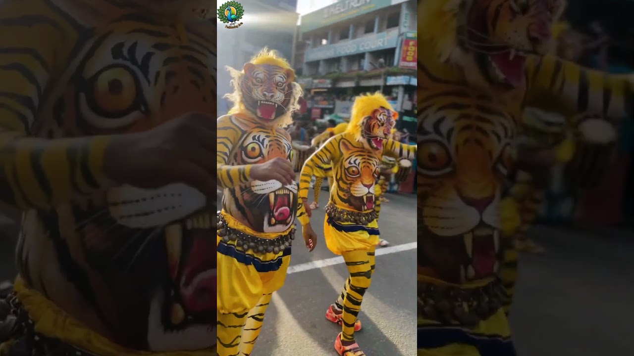 Pulikali | Tiger dance Kerala