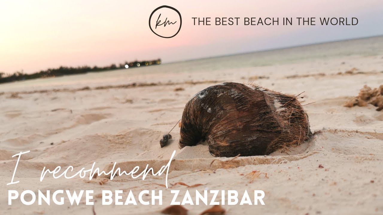 Pongwe Beach Zanzibar