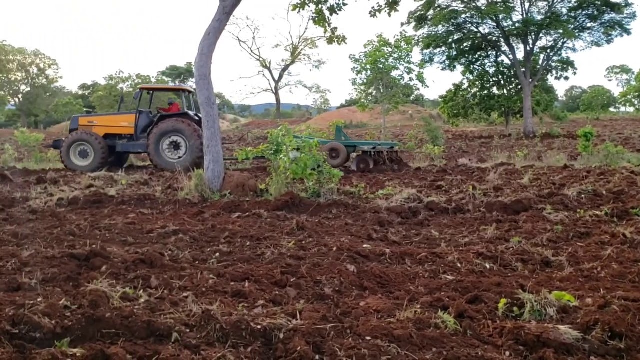 Roque Tratores: Valtra BH 160 e BH 180 na gradagem pesada