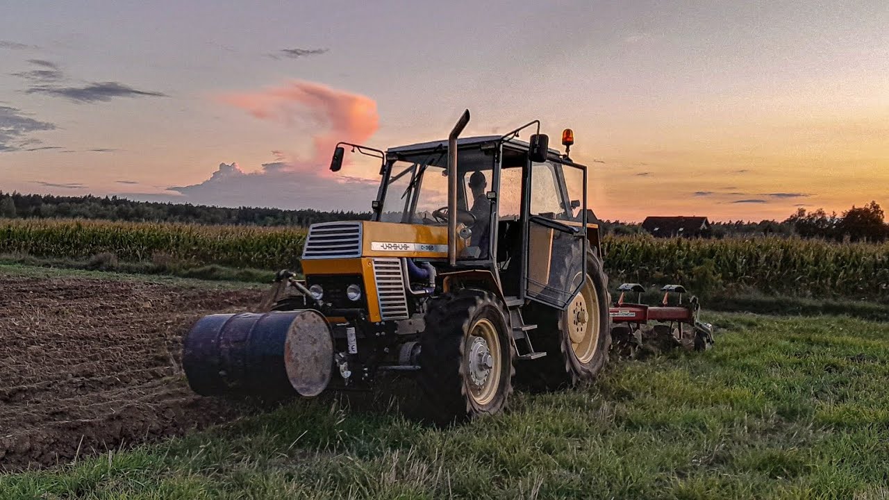 🚜OPOROWA ORKA 2024🚨 🔥URSUS DOSTAJE W PALNIK🔥 🚜DZWIĘK SILNIKA URSUS C385🔥
