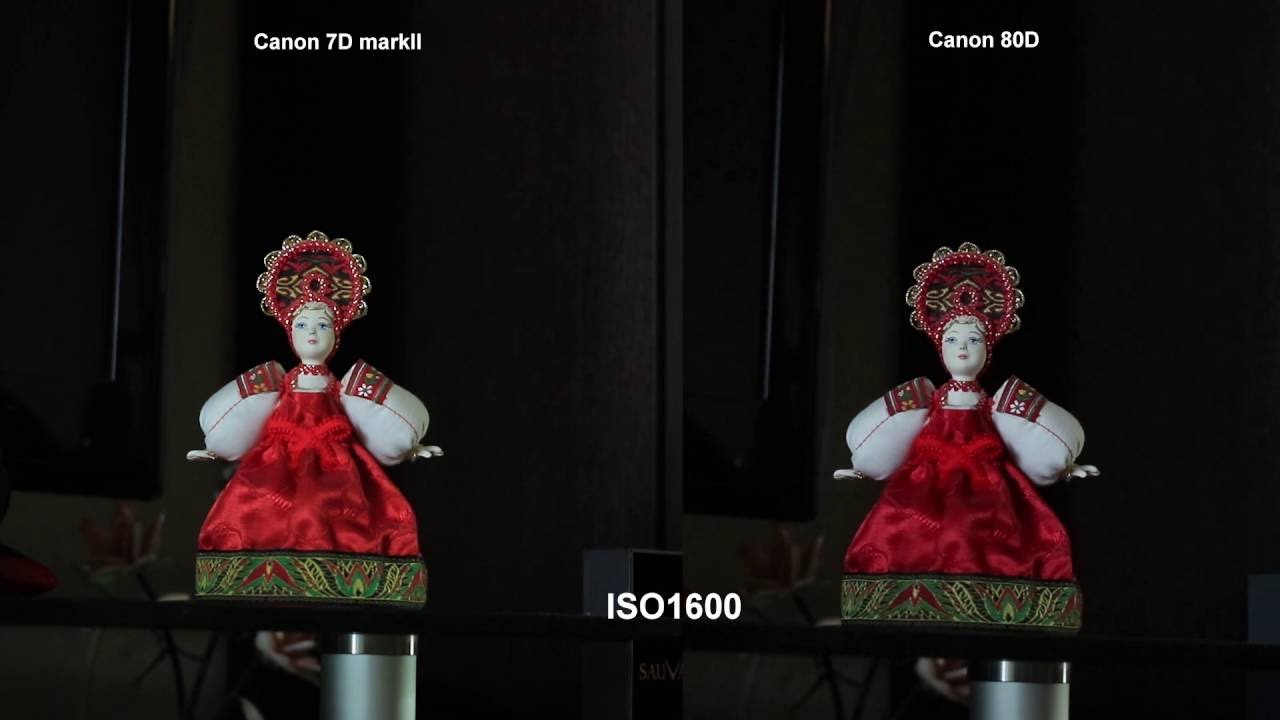 Canon 7D MarkII vs Canon 80D _2