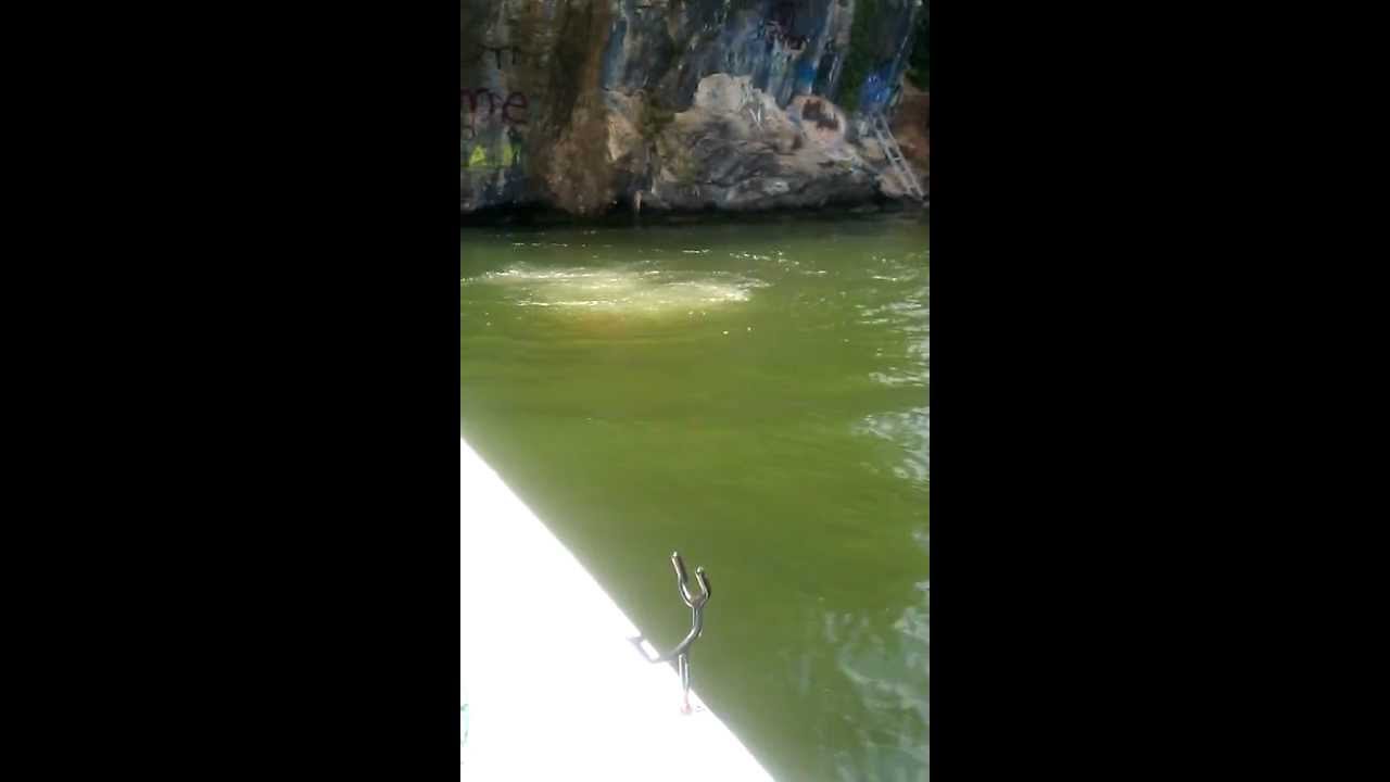 Cliff jumping Fort Loudon