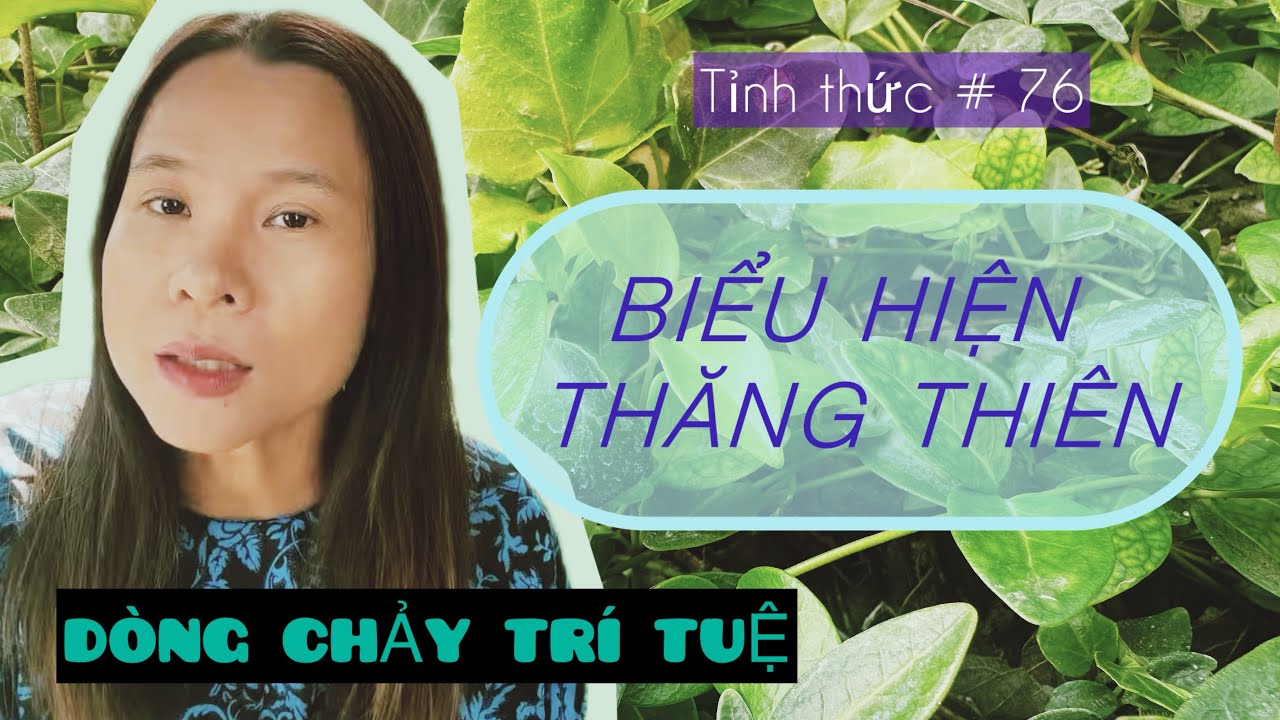 Tỉnh thức 76: Sự An Bình Dẫn Tới Ánh Sáng Trong Đường Hầm