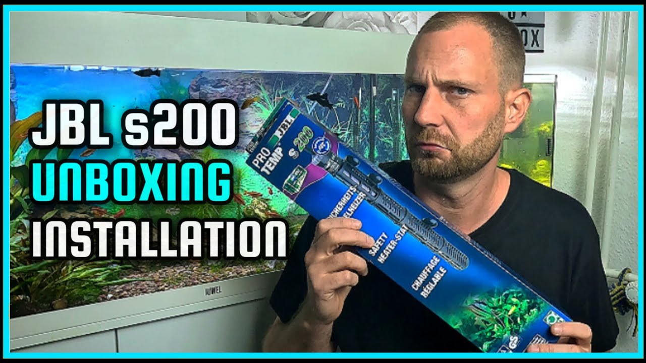 JBL ProTemp s200: Der ultimative Heizstab für dein Aquarium? | Installation & Test