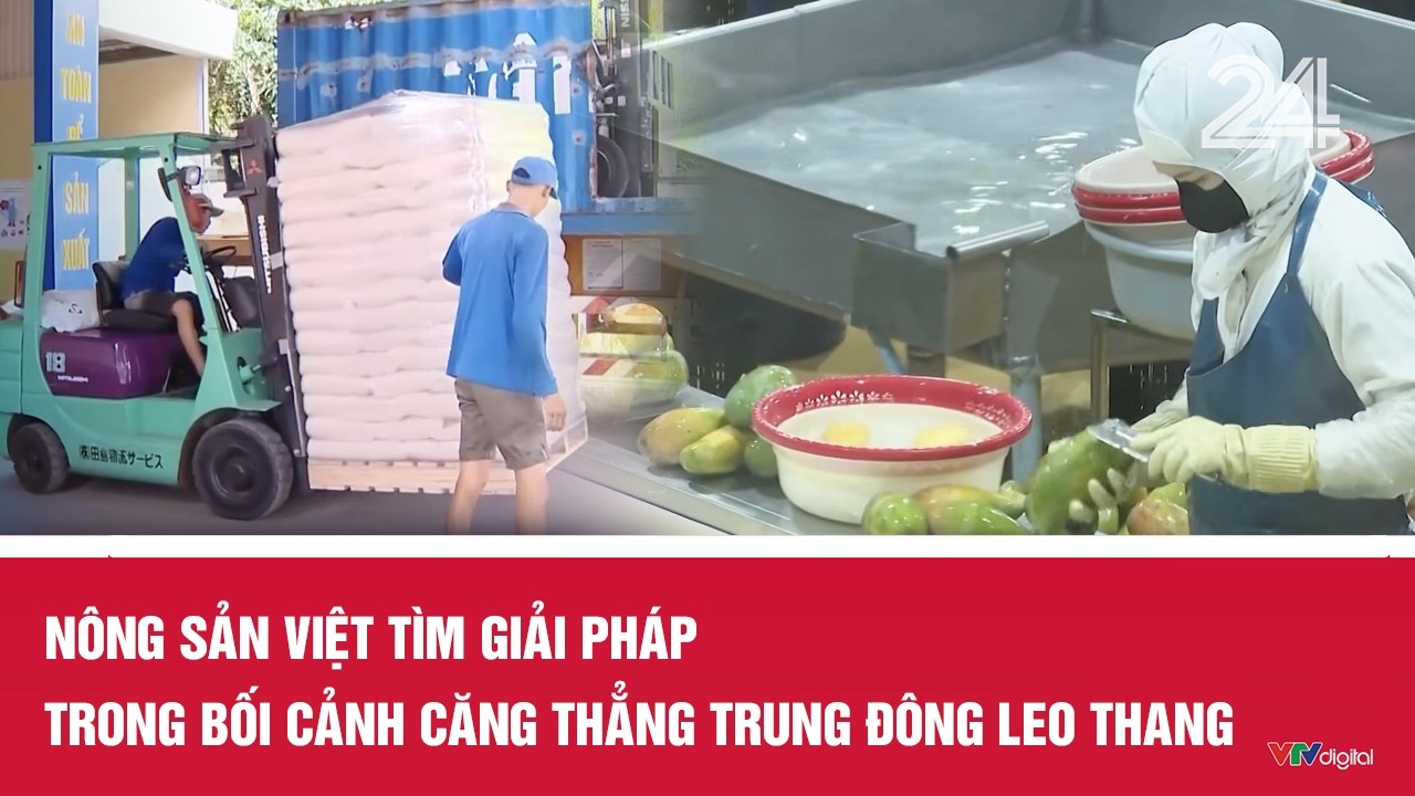 Nông sản Việt tìm giải pháp trong bối cảnh căng thẳng Trung Đông leo thang | VTV24