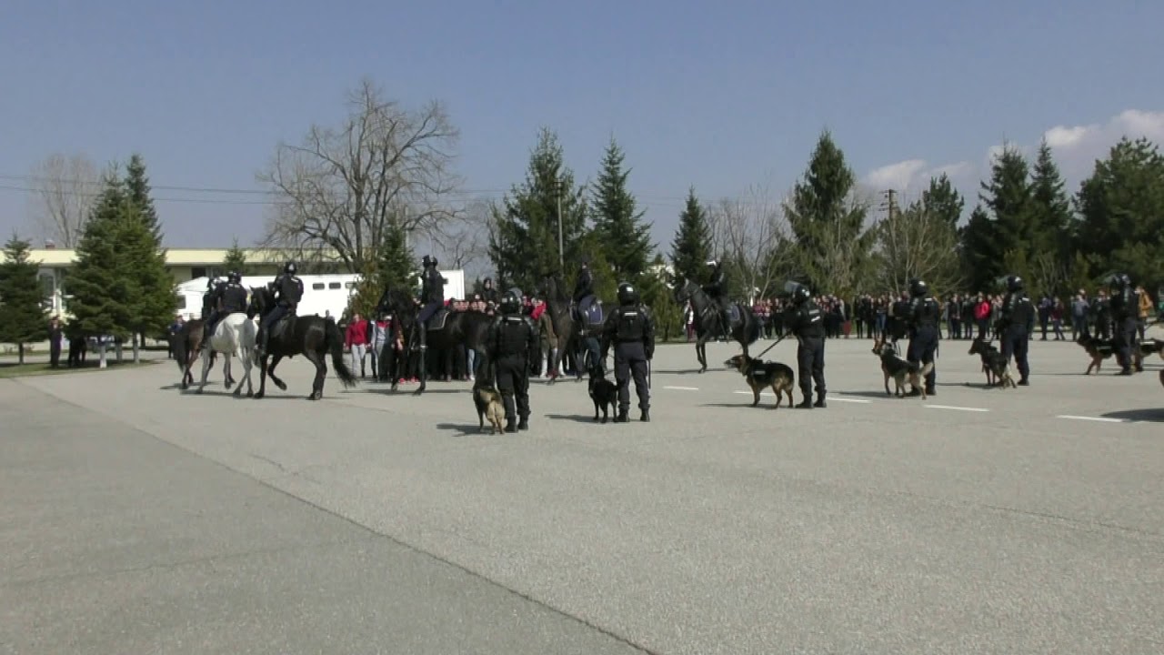Exercitiu demonstrativ SMSJD