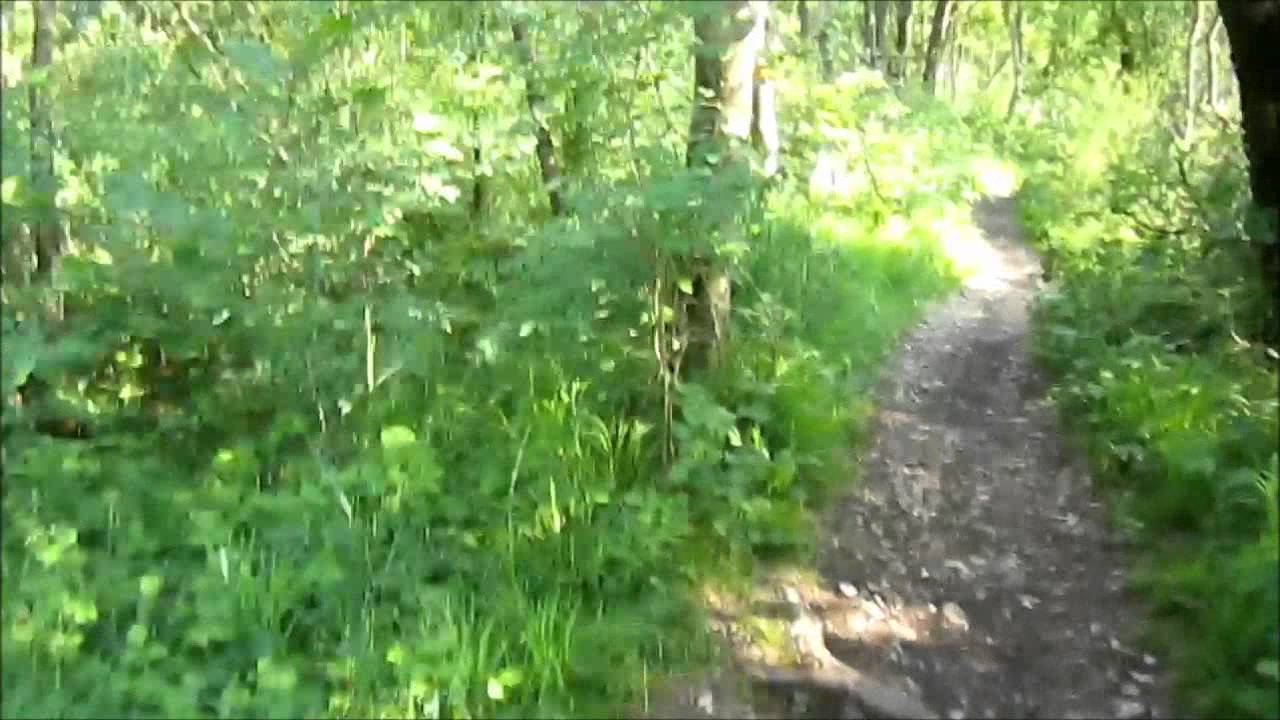 Am Lech entlang Richtung Unterbergen, Ostufer