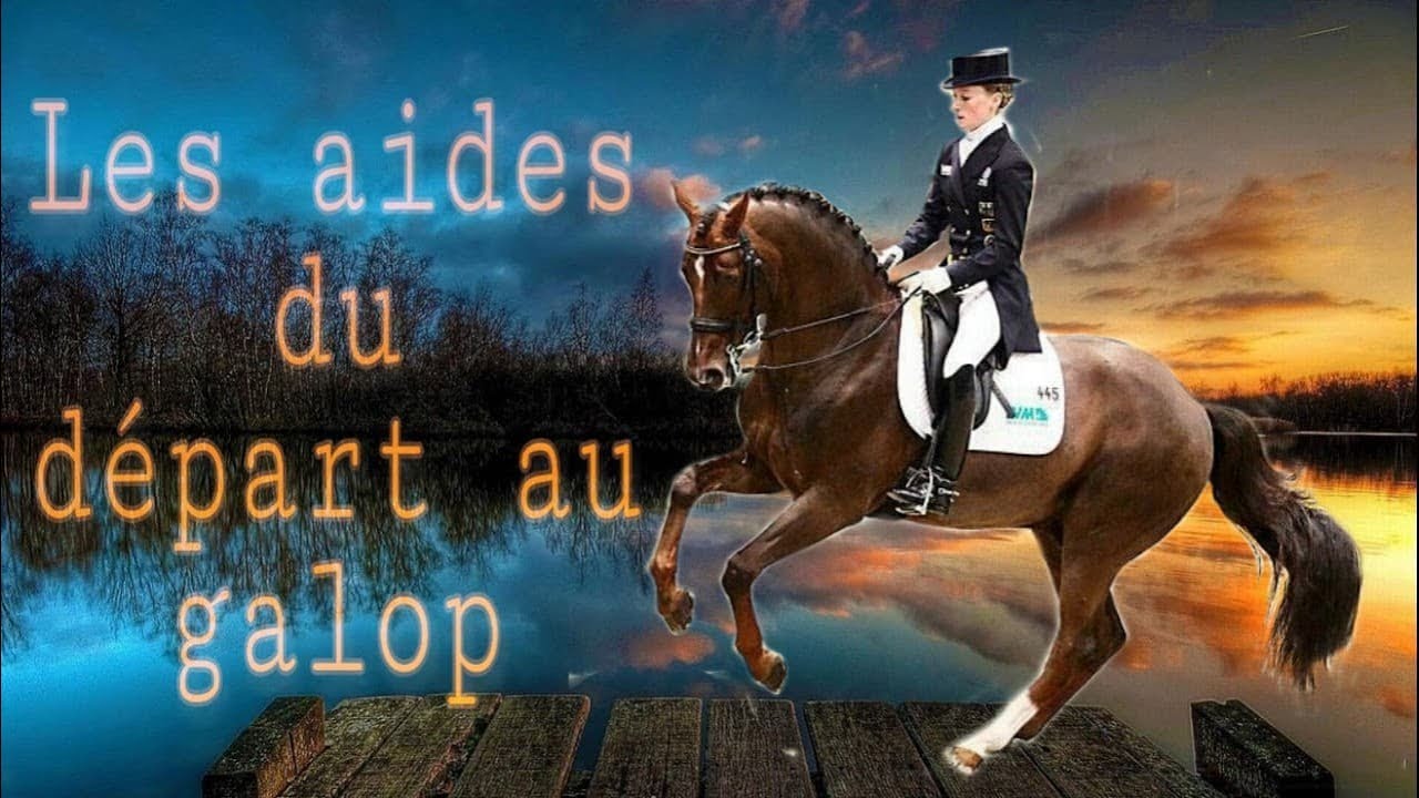 Comment faire un départ au galop