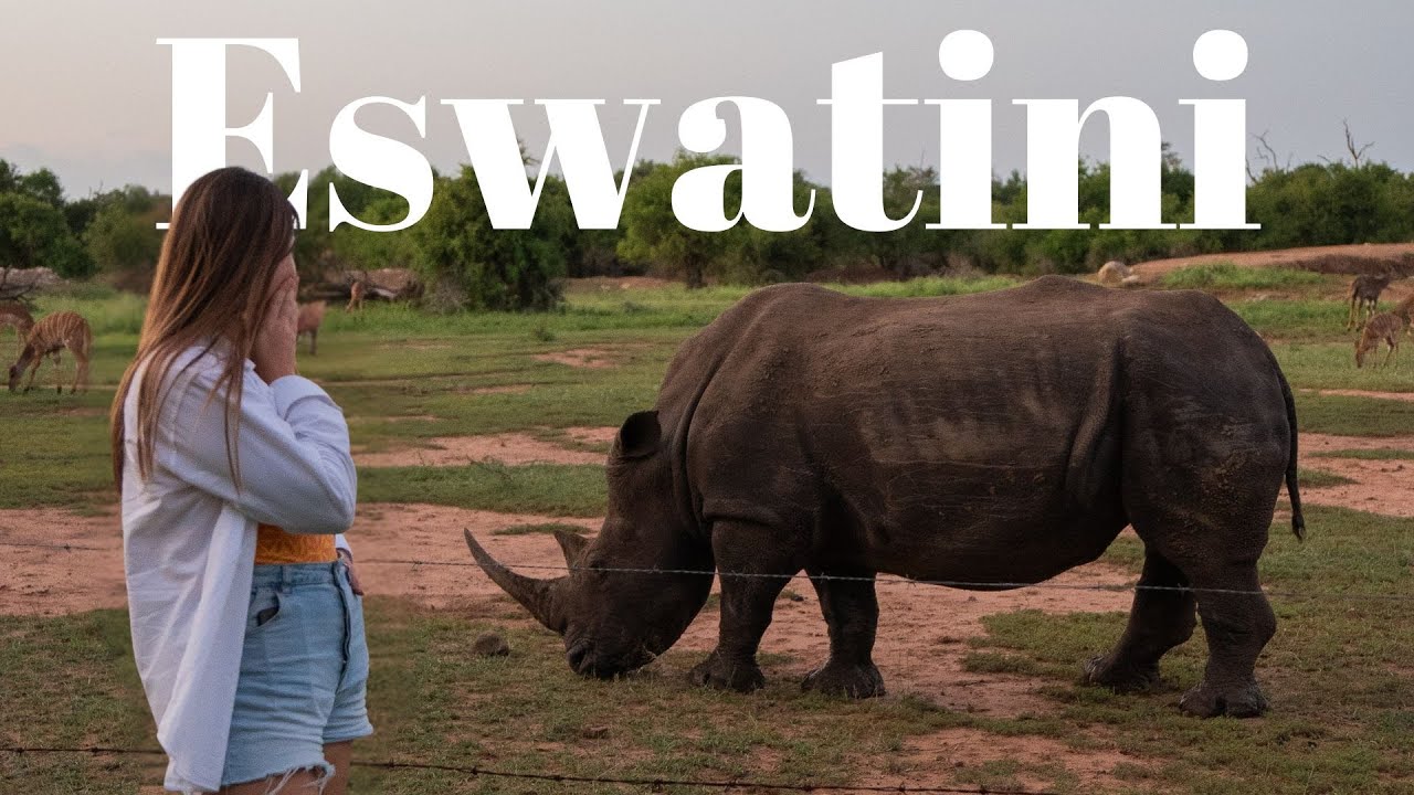Spotkaliśmy NOSOROŻCE w Eswatini