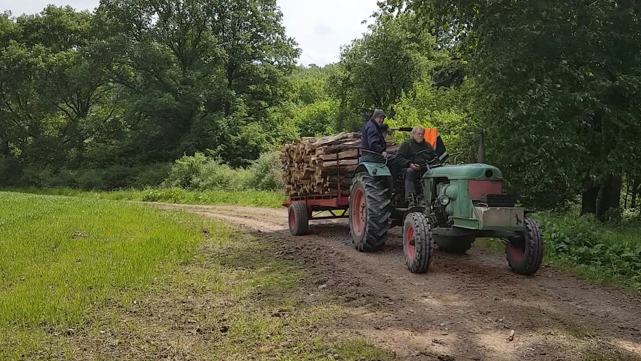 Deutz D 50 bei der Holzernte
