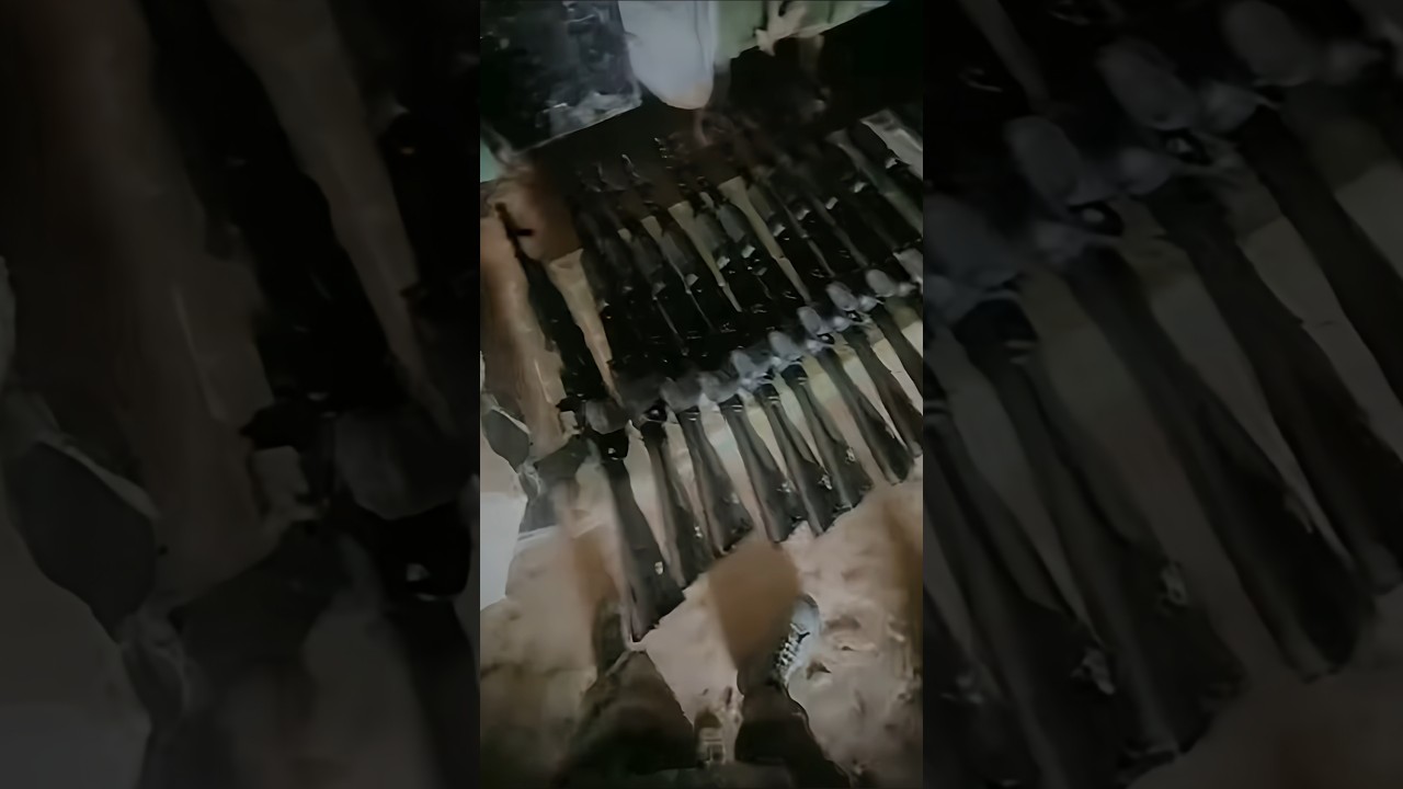 Modern Small Arms of Indian Army | Machine Pistol, Battle & Assault Rifles